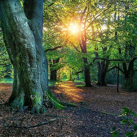 Newhall Lodge Cannock Eksteriør bilde