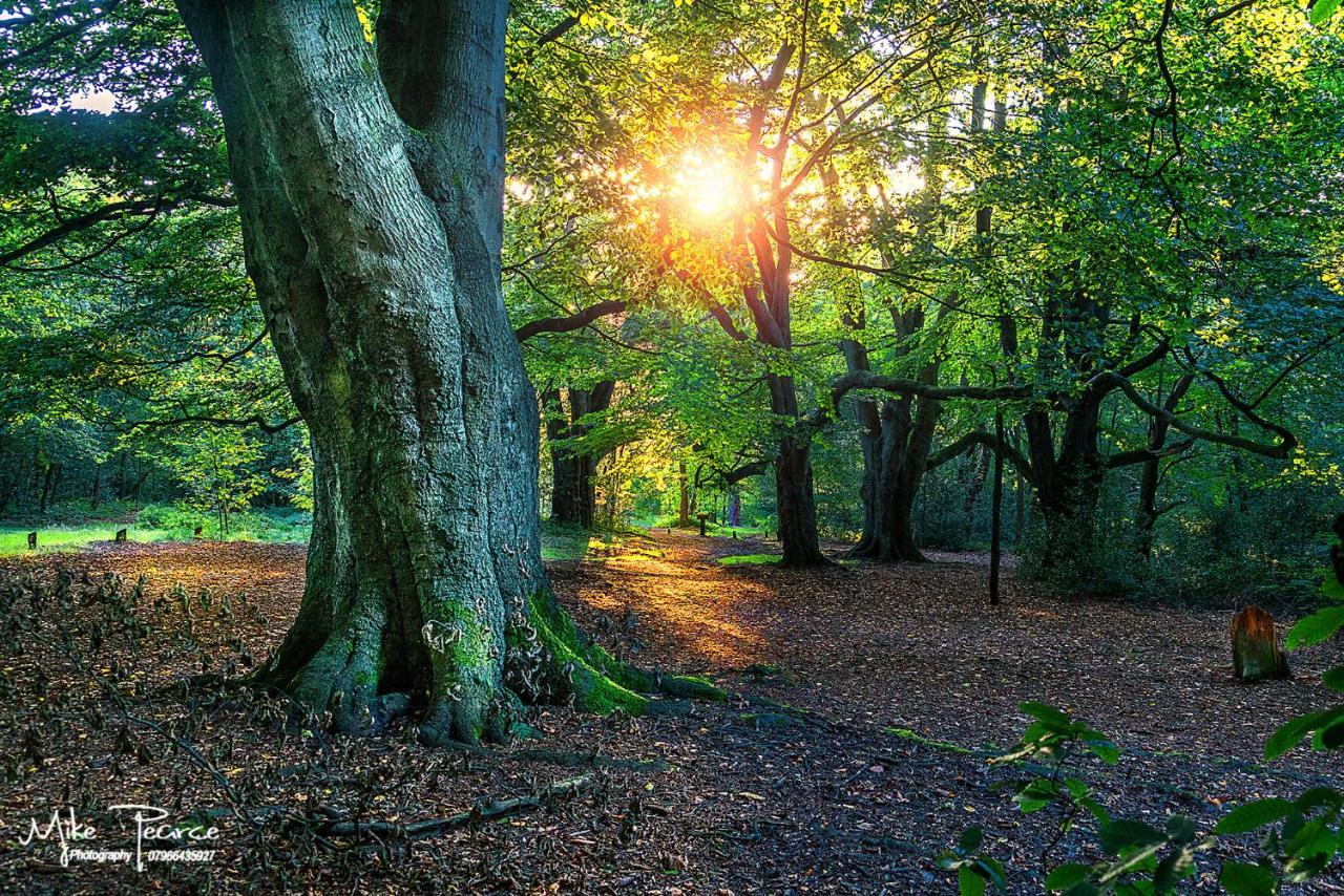 Newhall Lodge Cannock Eksteriør bilde
